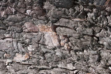 Natural stone wall surface texture
