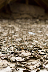 Natürliche Hintergrundstruktur Blätter Holz