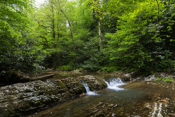 Mountain river with small waterfall
