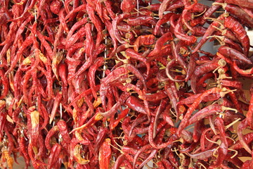 Naklejka premium Chillischoten getrocknet