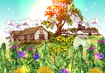 illustration village house