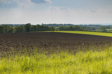 Springtime In The Countryside