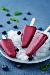 Blueberry Ice cream with fresh blueberries and ices
