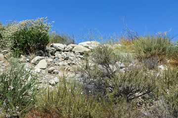 Fototapeta na wymiar Chaparral and rocks in desert mountains