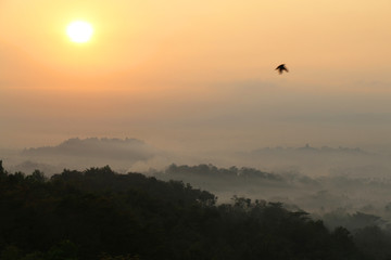 Sunrise view of Borobudur temple in the background. Misty rainforest in Java, Indonesia, Southeast Asia.