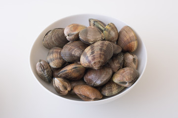 manila clams