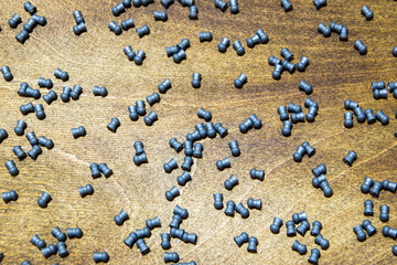 Bullets for the pneumatic weapon.