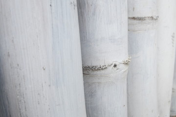 Selective focus of white painted bamboo wall