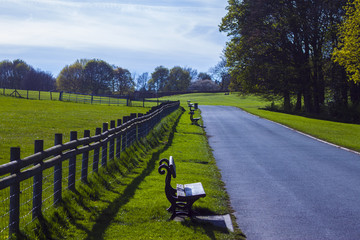 Lonely Walk