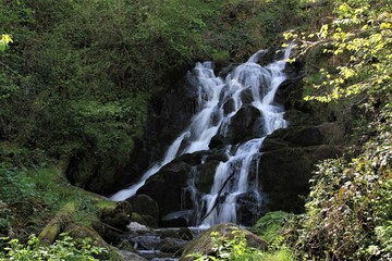 cascade de l'écureuil, vallée de Sans-souci, 63
