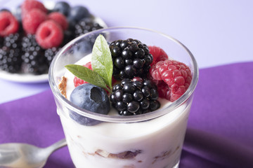 yogurt ice cream with forest strawberries