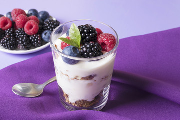 yogurt ice cream with forest strawberries