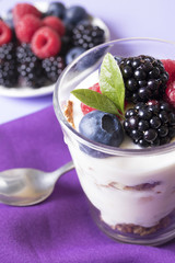 yogurt ice cream with forest strawberries