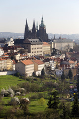 Fototapeta premium Spring Prague City with gothic Castle and the green Nature and flowering Trees, Czech Republic