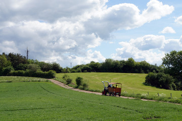 Eifellandschaft bei Nettersheim-Pesch