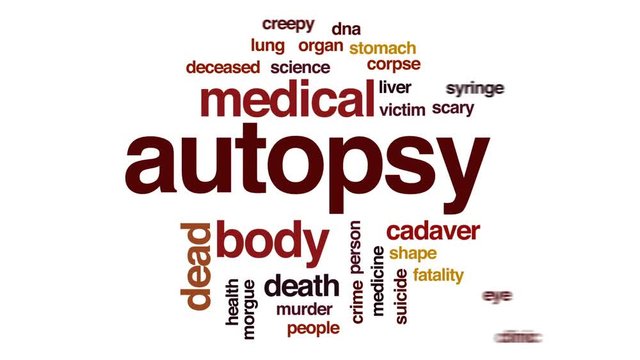 Autopsy animated word cloud, text design animation.