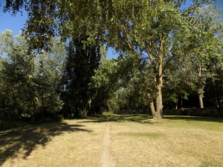 Camino 1