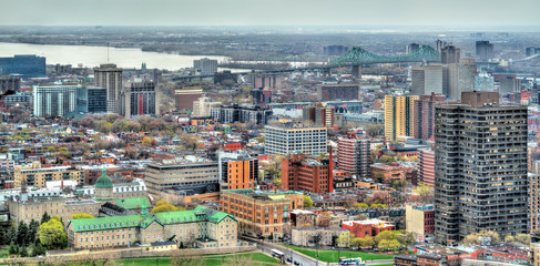 Fototapeta na wymiar Montreal skyline from Mont Royal, Canada