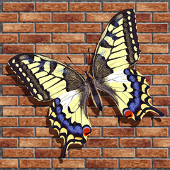 Realistic butterfly on a brick wall