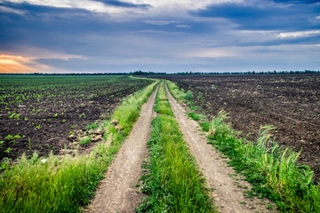 Dirt road through fields