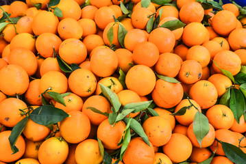  Local oranges on market in Turkey