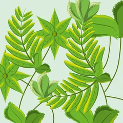 Zelfklevend Fotobehang Monstera nature branches plants with leaves vector illustration