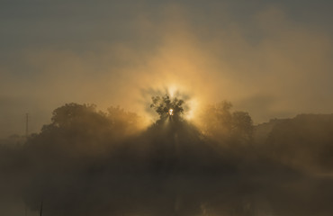 Dark orange sunrise near ponds