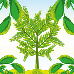 natural tree with leaves design vector illustration