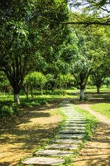 The pathway in garden 