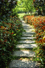 The pathway in garden 