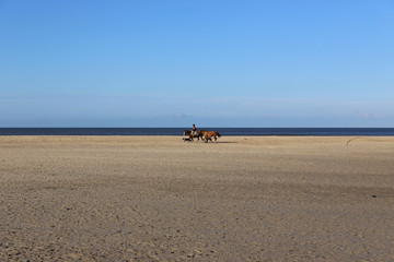 Gaucho at the Beach in Uruguay - April 2017