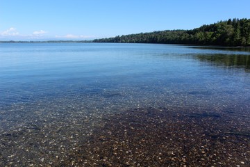 Sea floor under clear water at Drayton Harbor, Blaine, Washington
