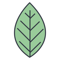 leafs plant ecology icon vector illustration design