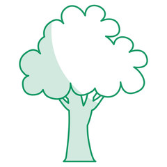 tree plant isolated icon vector illustration design