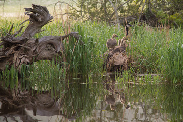 Family outing
