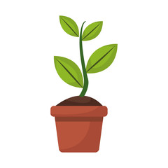 potted plant garden botanical element vector illustration