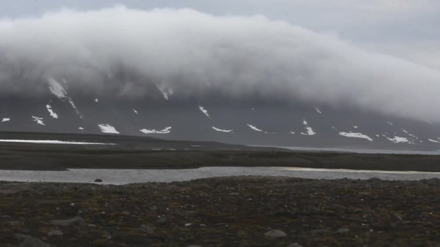 Cold polar desert of Franz Joseph Land. In background clouds slide from mountains. Many  birds are lost in fog and icy rain
