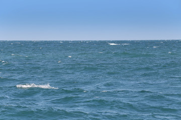 Obraz na płótnie Canvas blue sea and sky background.