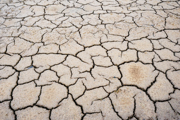 Dry soil background