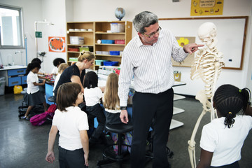 Diverse kindergarten students learning study skeleton structure in classroom