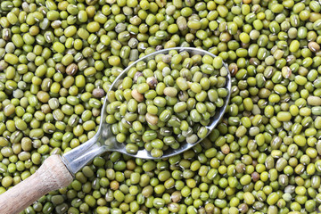 Green beans seed in a Silver spoon.