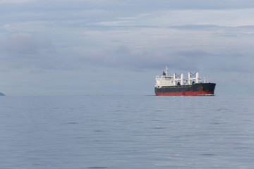 Fototapeta premium cargo ship in the sea.