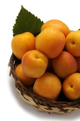 Prunus armeniaca