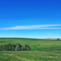 Fototapeta na wymiar Landscape in Alberta with Effects