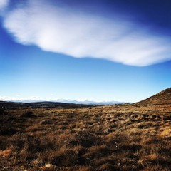 Landscape in Alberta with Effects
