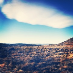 Landscape in Alberta with Effects