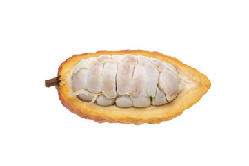 open cacao fruit