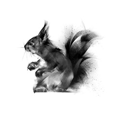 painted sitting squirrel on white background