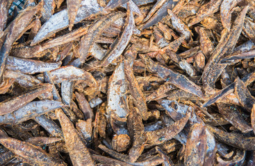 Tuna dry fish for sale at Fish market in Male,Maldives