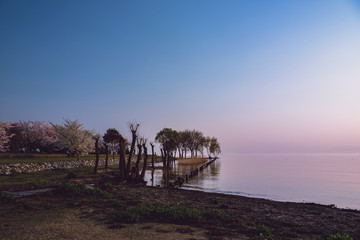 Fototapeta na wymiar 美しい琵琶湖の夕景